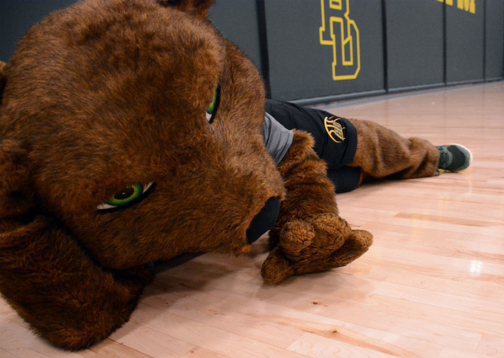 Benny the Beaver.jpg
